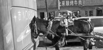新文化讯 3月26日上午,济南市公安局的官方微博“济南公安”发布了一条微博:“世事多奇葩,毛驴怼大巴。毛驴:不服来战!大巴:容你战我千百回,受伤的驴总是你啊!”。并随文附上了一张毛驴撞大巴车的图片。只见一头黑色毛驴头部顶撞到一辆红褐色大巴车后尾部,大巴车车牌号为吉A开头,镜头内的建筑为门市平房,商户林立。